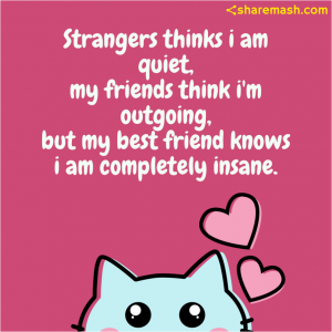 Strangers think I am quite, my friends think i am outgoing. but my best friends know i am completely insane.- Friends Captions for Instagram
