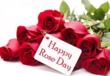 best rose day images