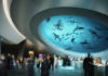 9 Best Museums in Miami Florida 2024