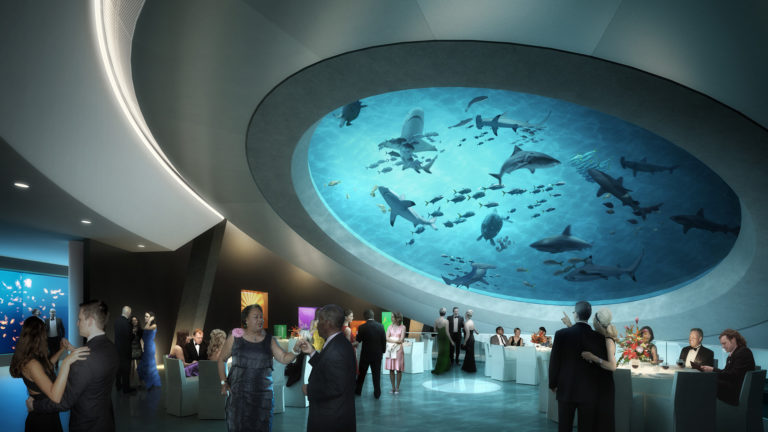 9 Best Museums in Miami Florida 2024