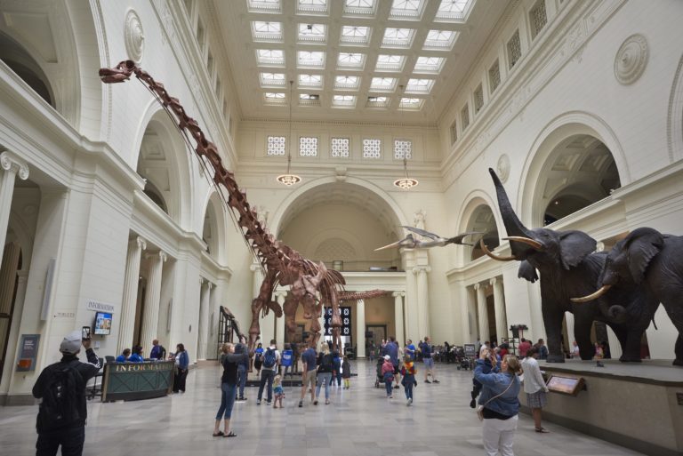 5 Best Museums in Chicago 2024