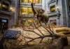 Best Interactive Museums in Washington D.C. 2024