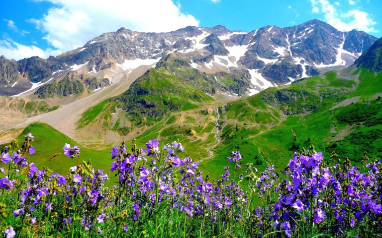 200 + Best Nature Status, Captions, Quotes for Instagram & FB (2024)