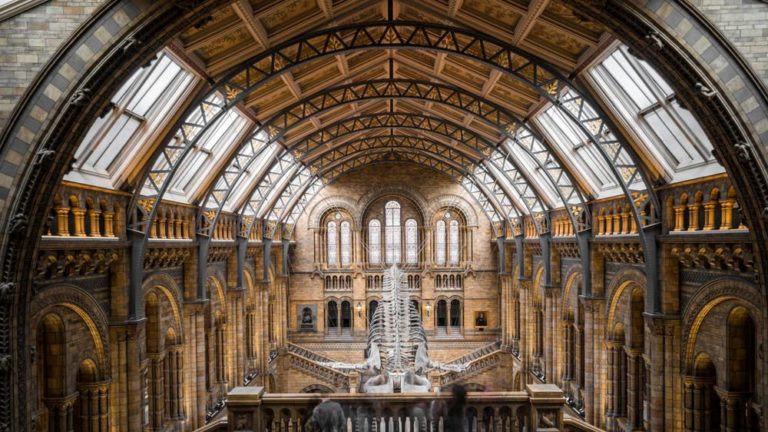 6 Best Museums in London 2024