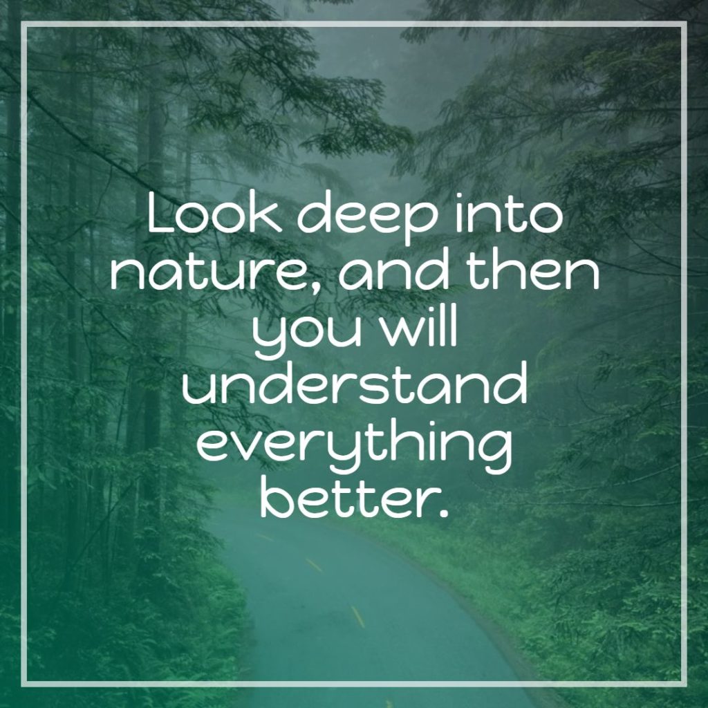 200 + Best Nature Status, Captions, Quotes for Instagram & FB (2021