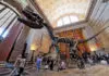 Best Museum in USA 2024