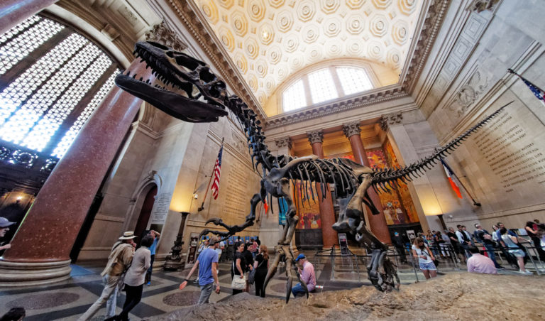Best Museum in USA 2024