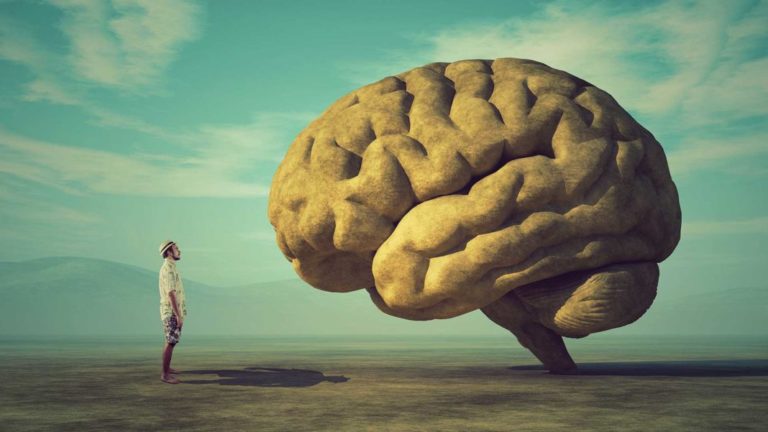 Brainy Quotes You Can Use For Every Occasion – 2024