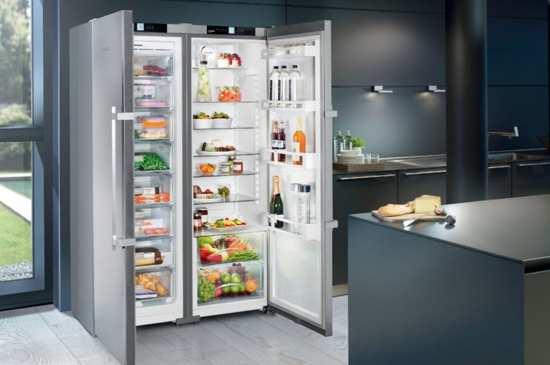 Best Refrigerators In India 2024 Mavra Sibella