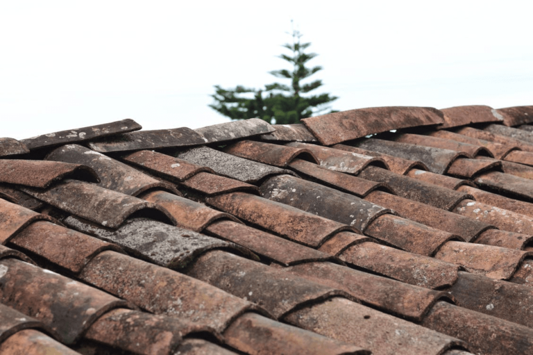 How to Spot Roof Problems? Thing To Do