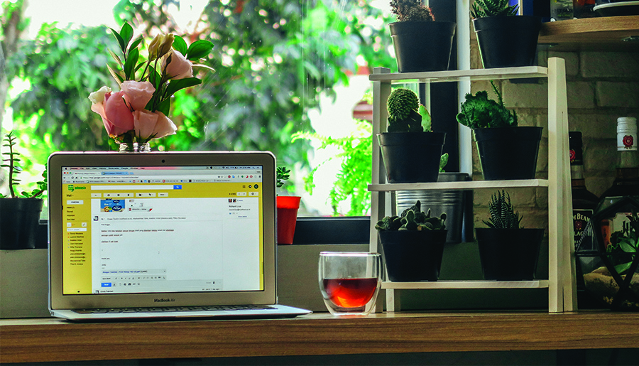 A College Student’s Guide to Renting an Apartment in 2024