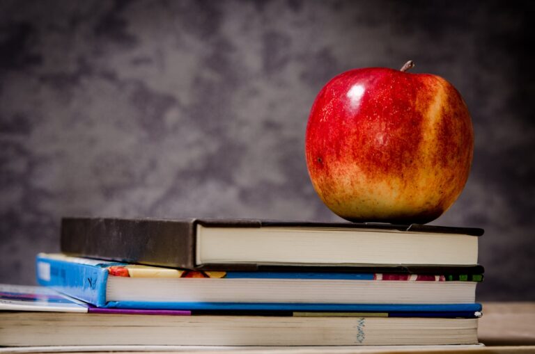 Good News – Budget Increase for Higher Education