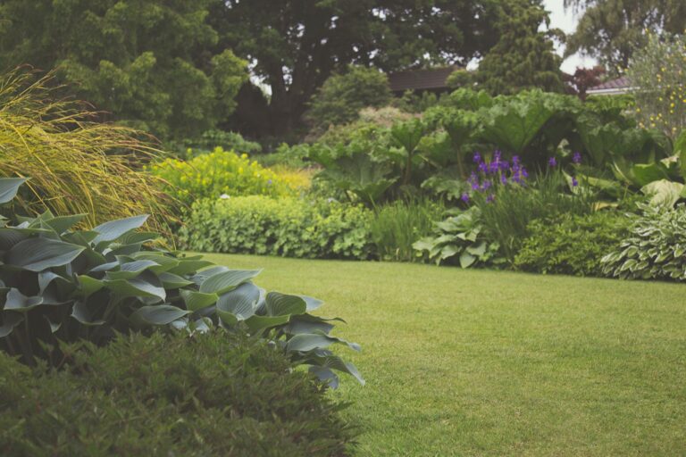 9 DIY Concrete Projects for Your Garden – 2024 Guide