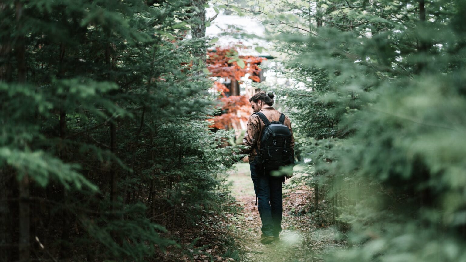 3 Things To Do If You Get Lost In The Woods - PMCAOnline