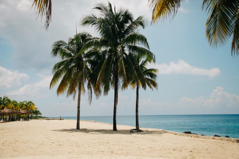 Best Caribbean Beaches for 2024