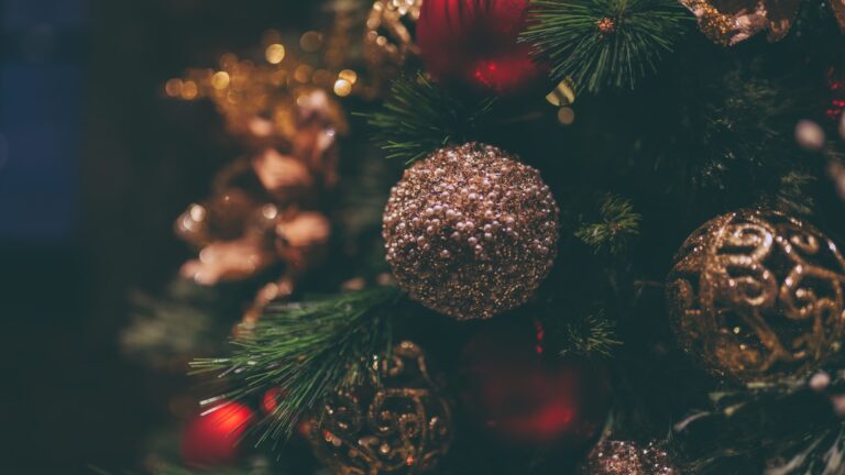 Tips to Make Your Christmas More Special This Year!
