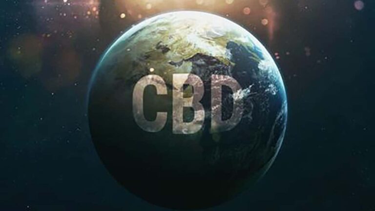 Legal Status Of CBD and CBG Around The World