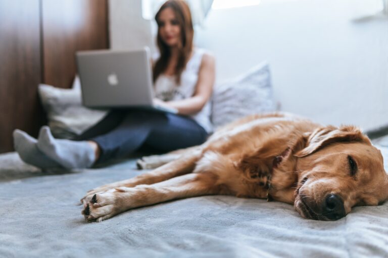 Tips To Be Productive When Working From Home
