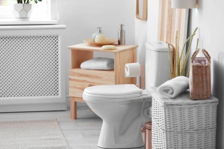 9 Best Flushing Toilet 2024 – Buying Guide & Reviews