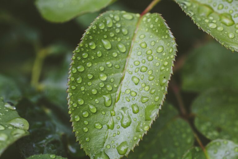 7 Ways Your Business Can Help Reduce Environmental Pollution