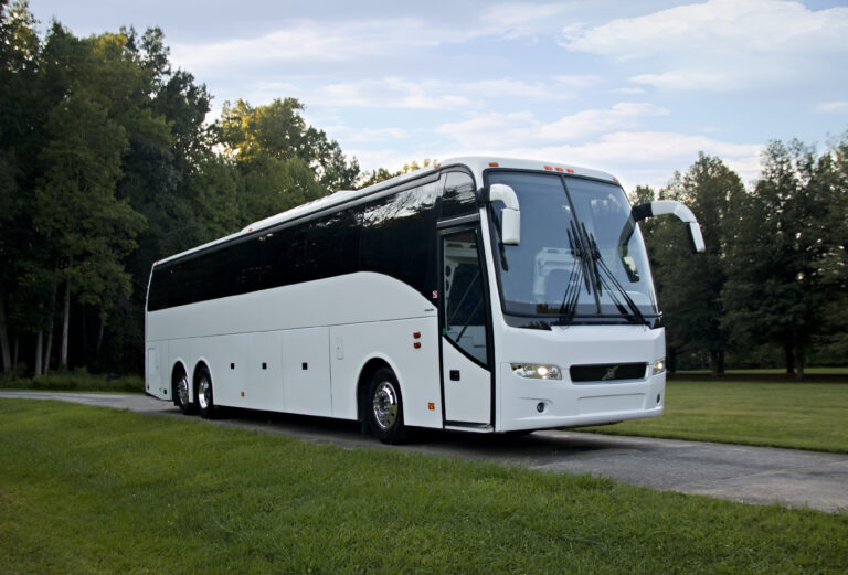 Why Chartering a Bus For Sightseeing is a Smart Decision in 2024