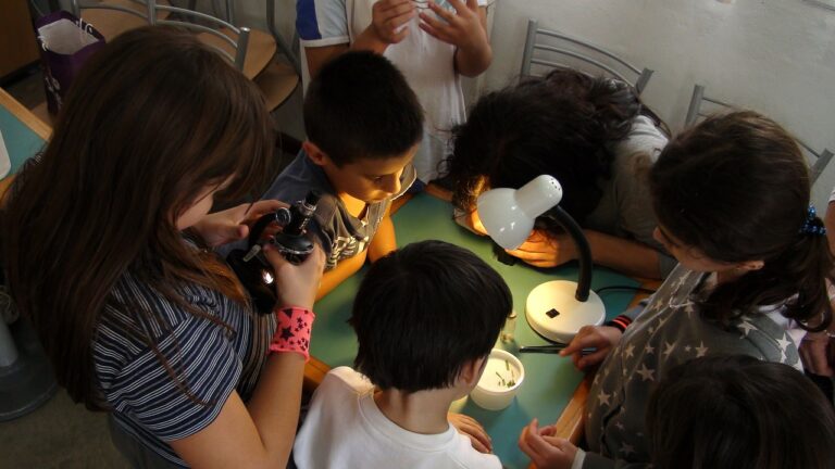 What Microscope to Buy for Your Kid – 2024 Guide
