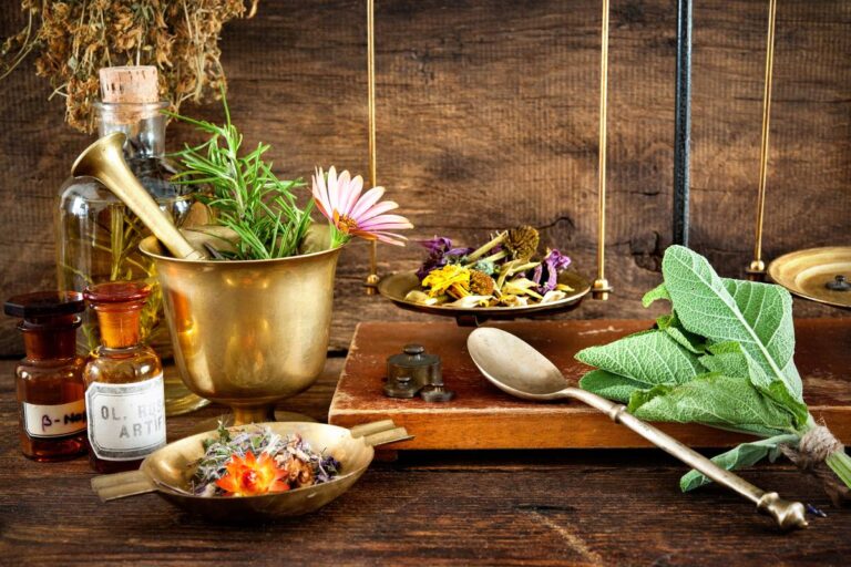 Most Common Medicinal Herb & How to Use Them – 2024 Guide