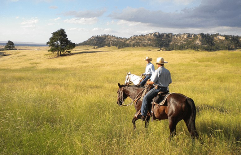 7 Tips for Buying a Ranch in Colorado 2024 Guide