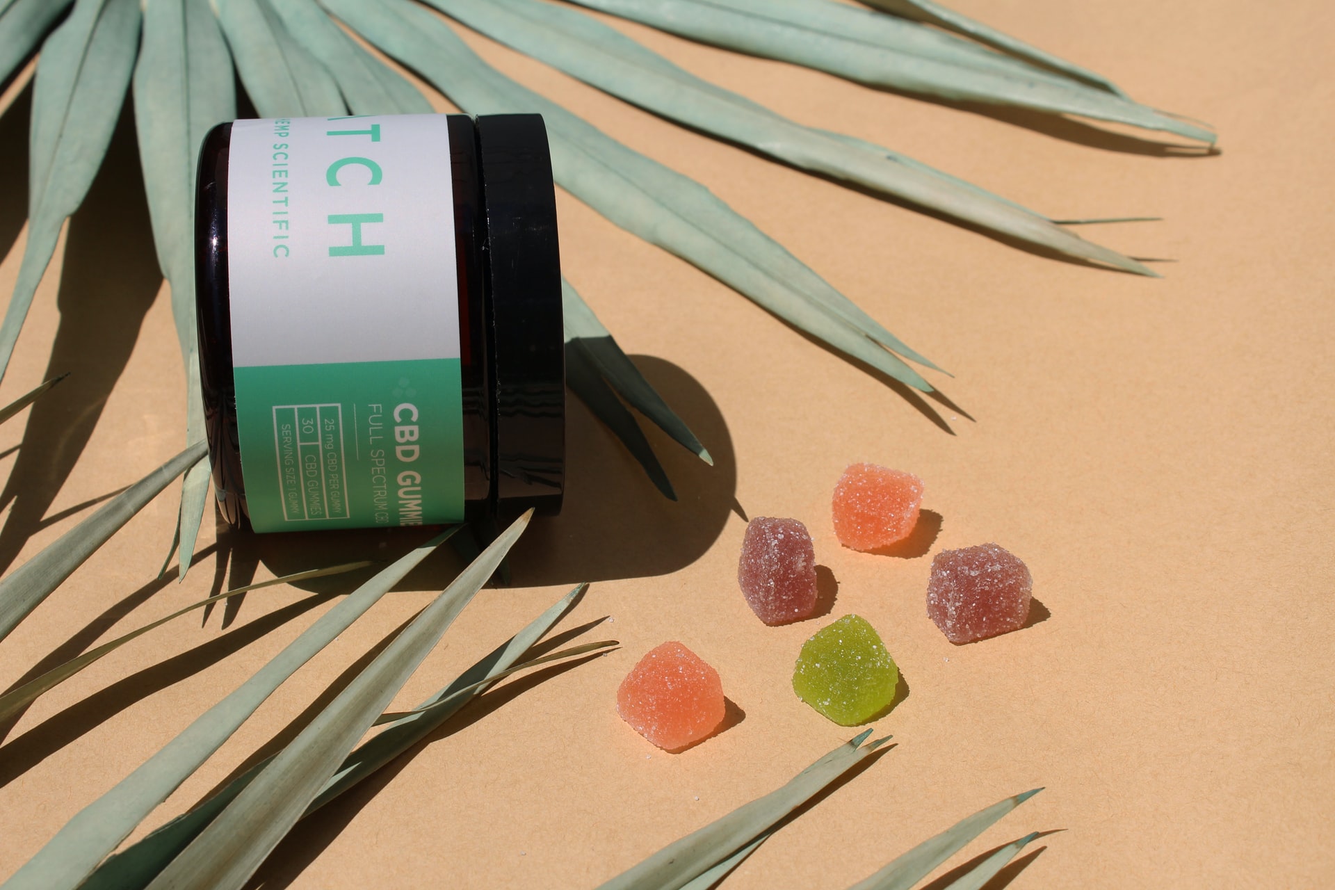 What's The Difference Between Hemp And CBD Gummies - PMCAOnline