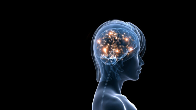 Can a Person Change Their Intelligence?