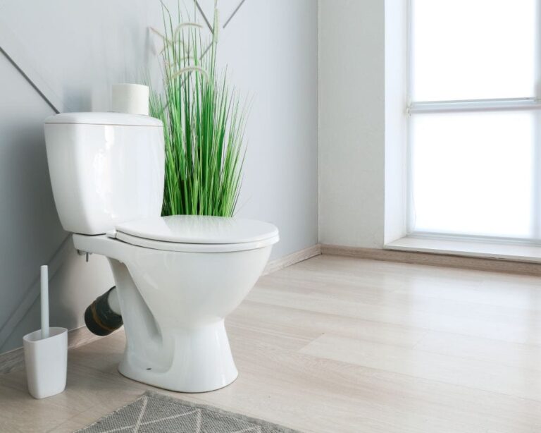 Everything You Need To Know About Pressure Assisted Toilets