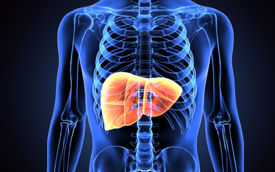 Alcohol Is an Especially Damaging Carcinogen