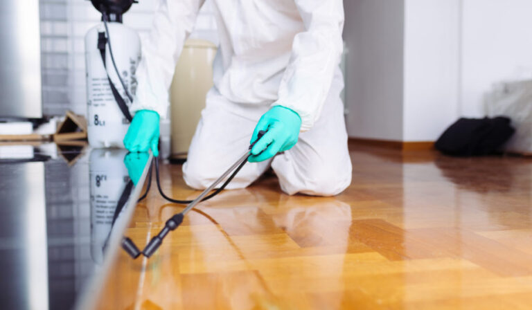 What Should a Pest Control Program Include?