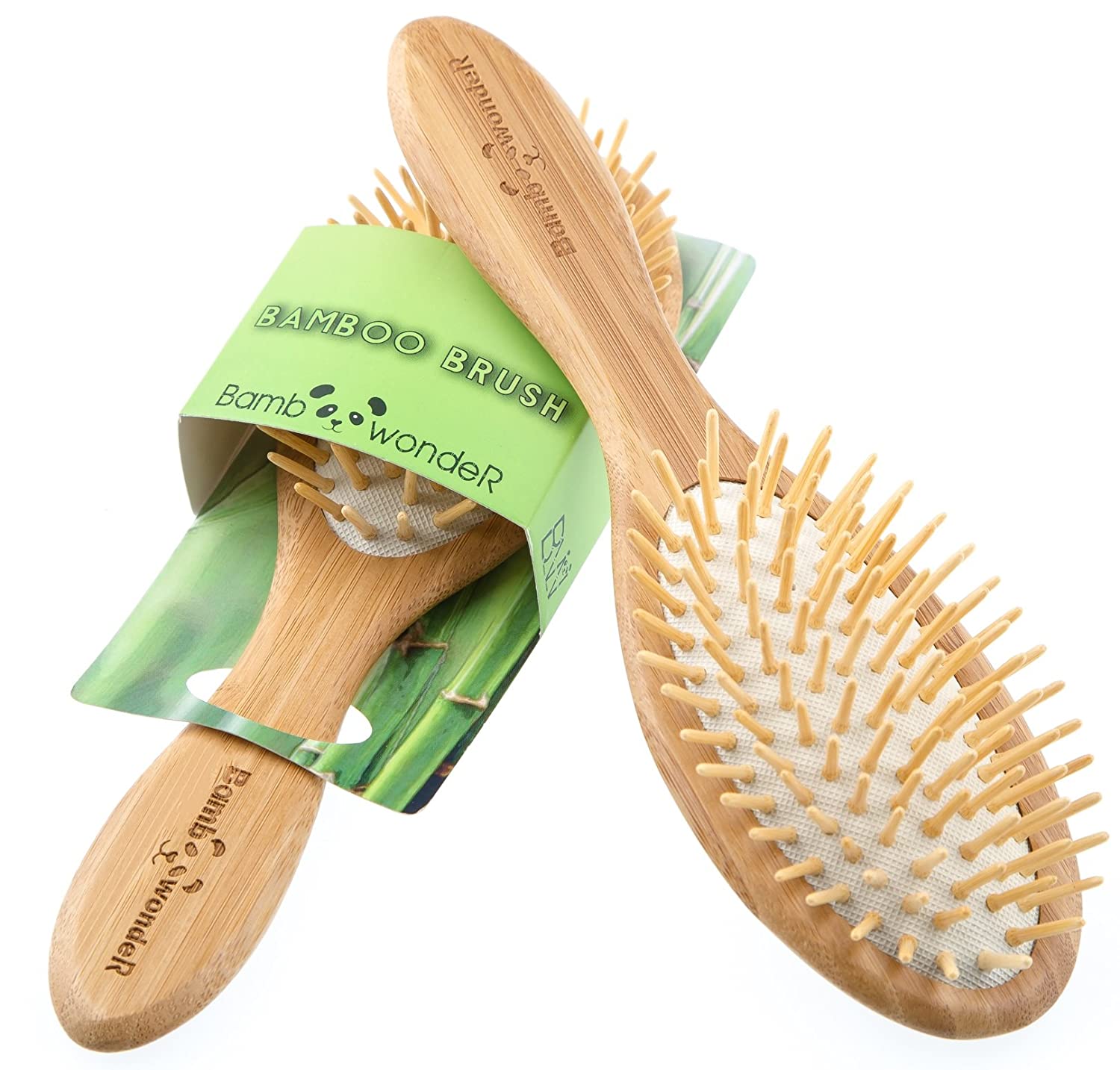 What Are EcoFriendly Brushes Made of 2024 Guide