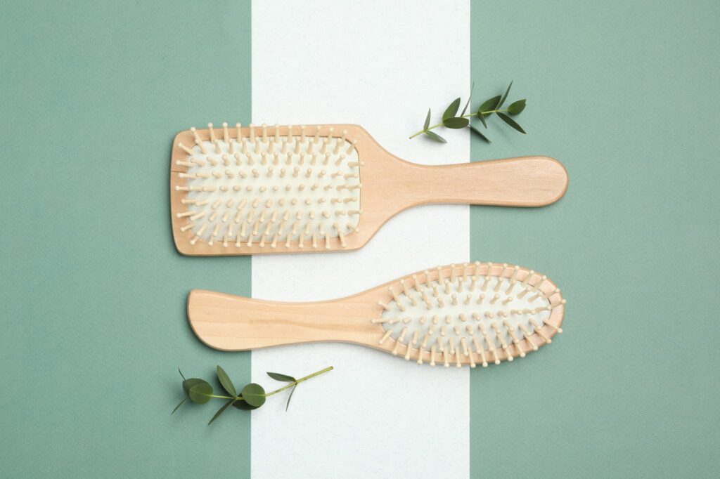 What Are EcoFriendly Brushes Made of 2024 Guide