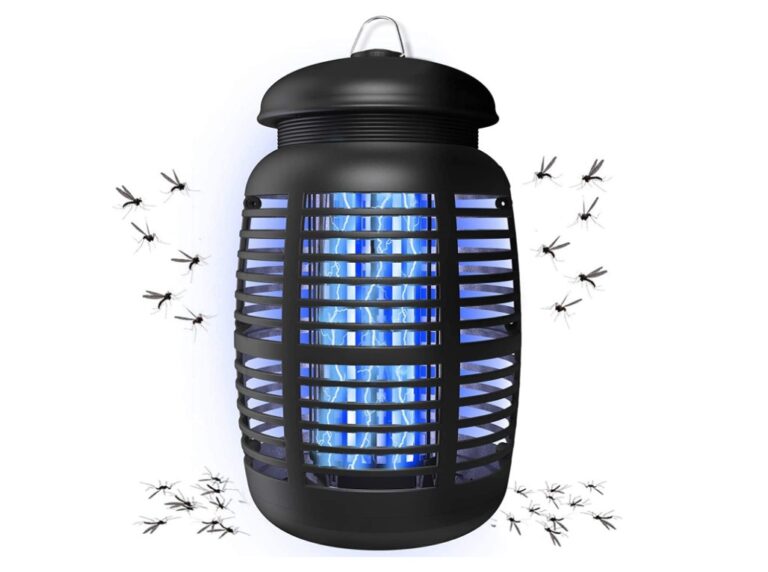6 Best Flying Insect Traps for Your Home 2024 – Buying Guide