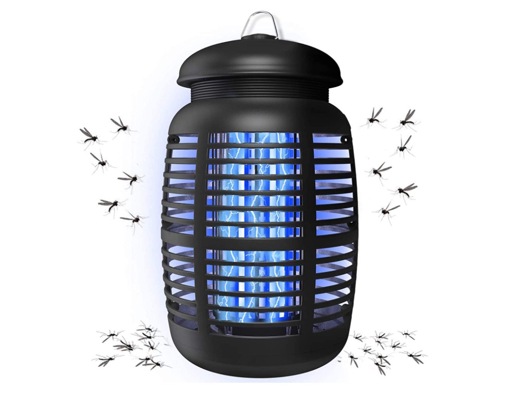 6 Best Flying Insect Traps for Your Home 2024 Buying Guide