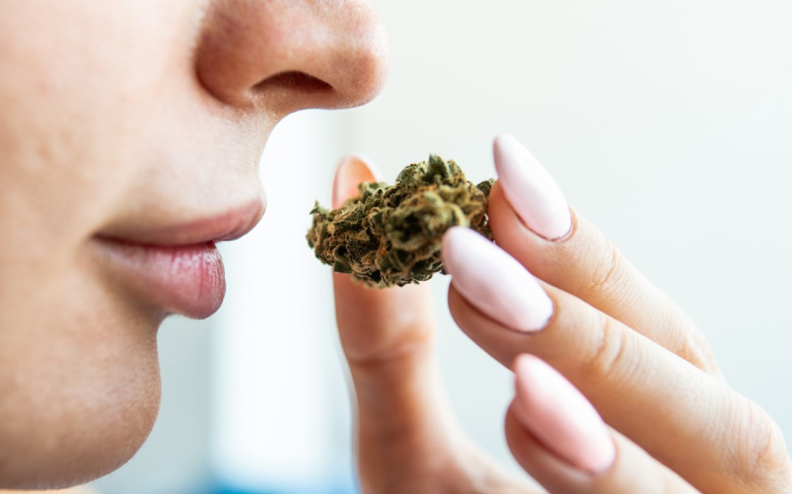 Why Do Some Weed Strains Smell Like Cheese?
