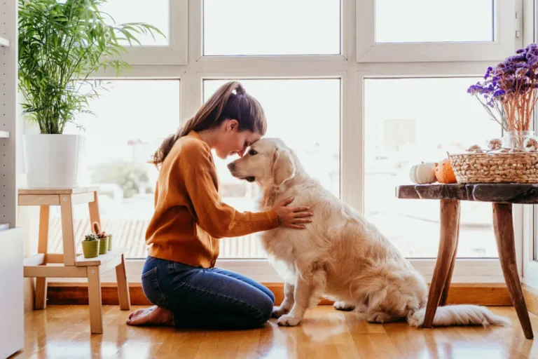 No Partner, No Problem: 10 Best Dog Breeds For Singles