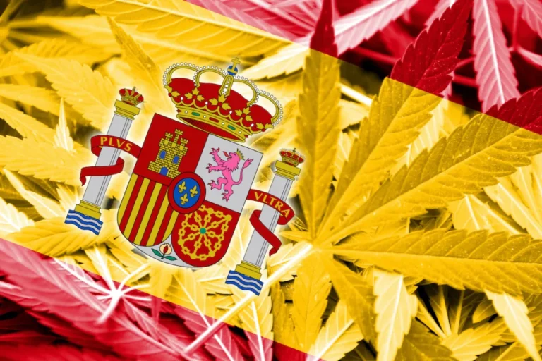 What Effect Can the Legalization of Marijuana in Spain Have on the Economy?