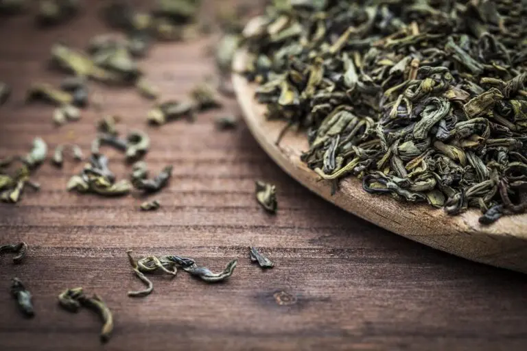 What Is Matcha Powder Made Of – 2024 Guide