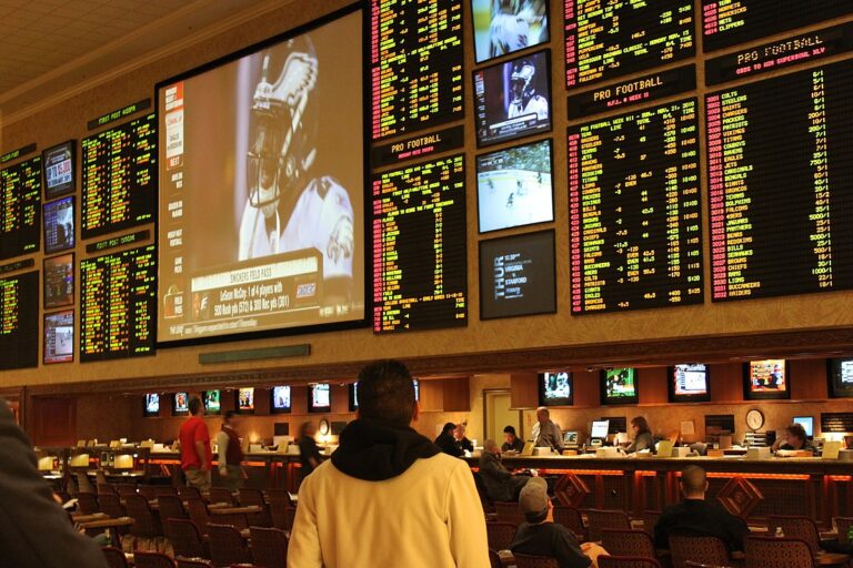 What Types of Online Sportsbooks are Available Today?