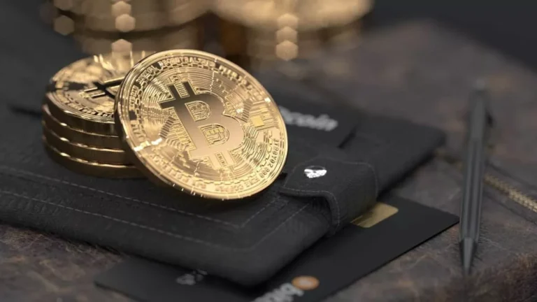 Can One Wallet Hold Multiple Cryptocurrencies?