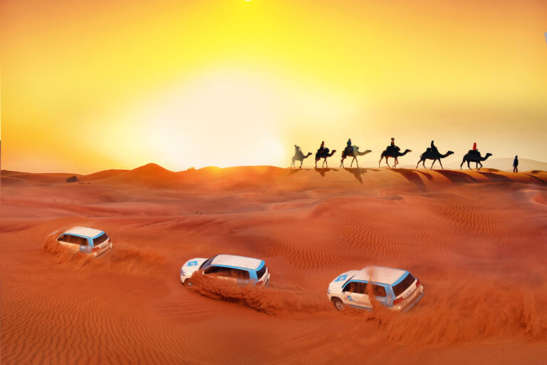Top 10 Best Activities in Dubai Evening Safari