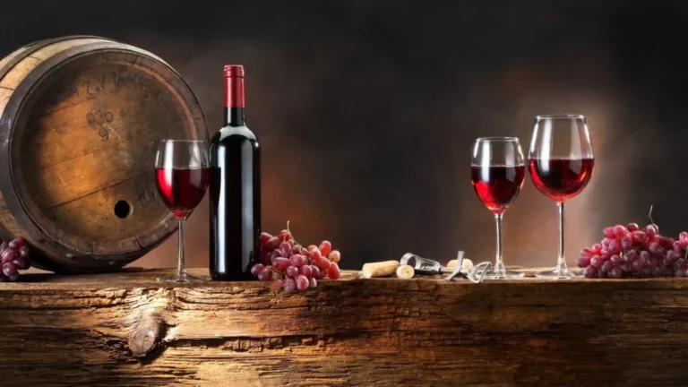 What is The Most Sustainable Way to Make Wine – 2024 Guide