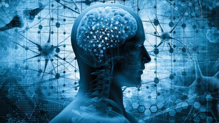 How to use Memorization Techniques for Studying