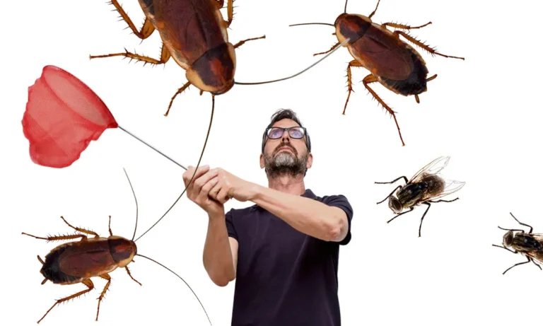 Identifying 6 Common Home Pests ─ Prevention and Control Methods – 2024 Guide
