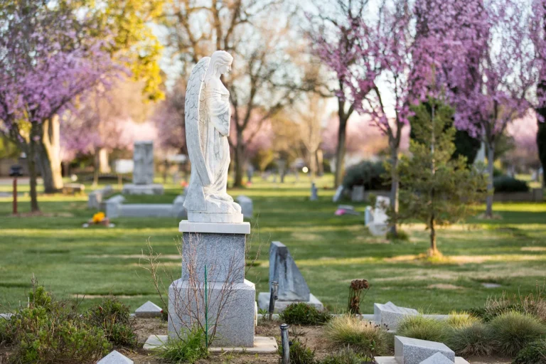 Why Are Memorial Trees Better Than Other Forms Of Memorialization?