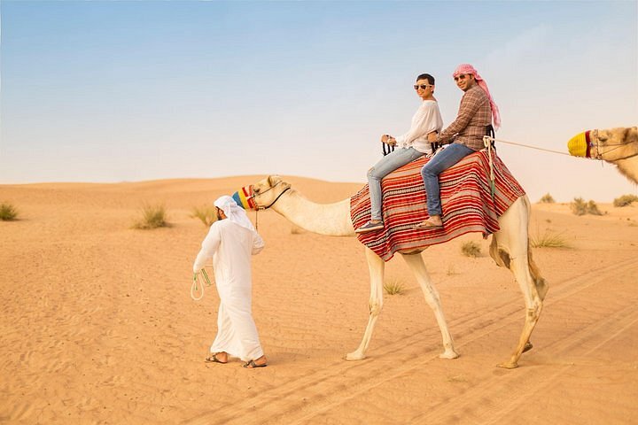 Know About Your Inner Adventure With the Help of Desert Safari Dubai In 2024