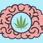 Medical Marijuanas for Mental Health - Key Insights and Considerations